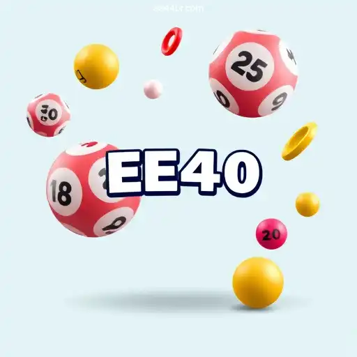 Exploring the Digital Realm of Online Bingo